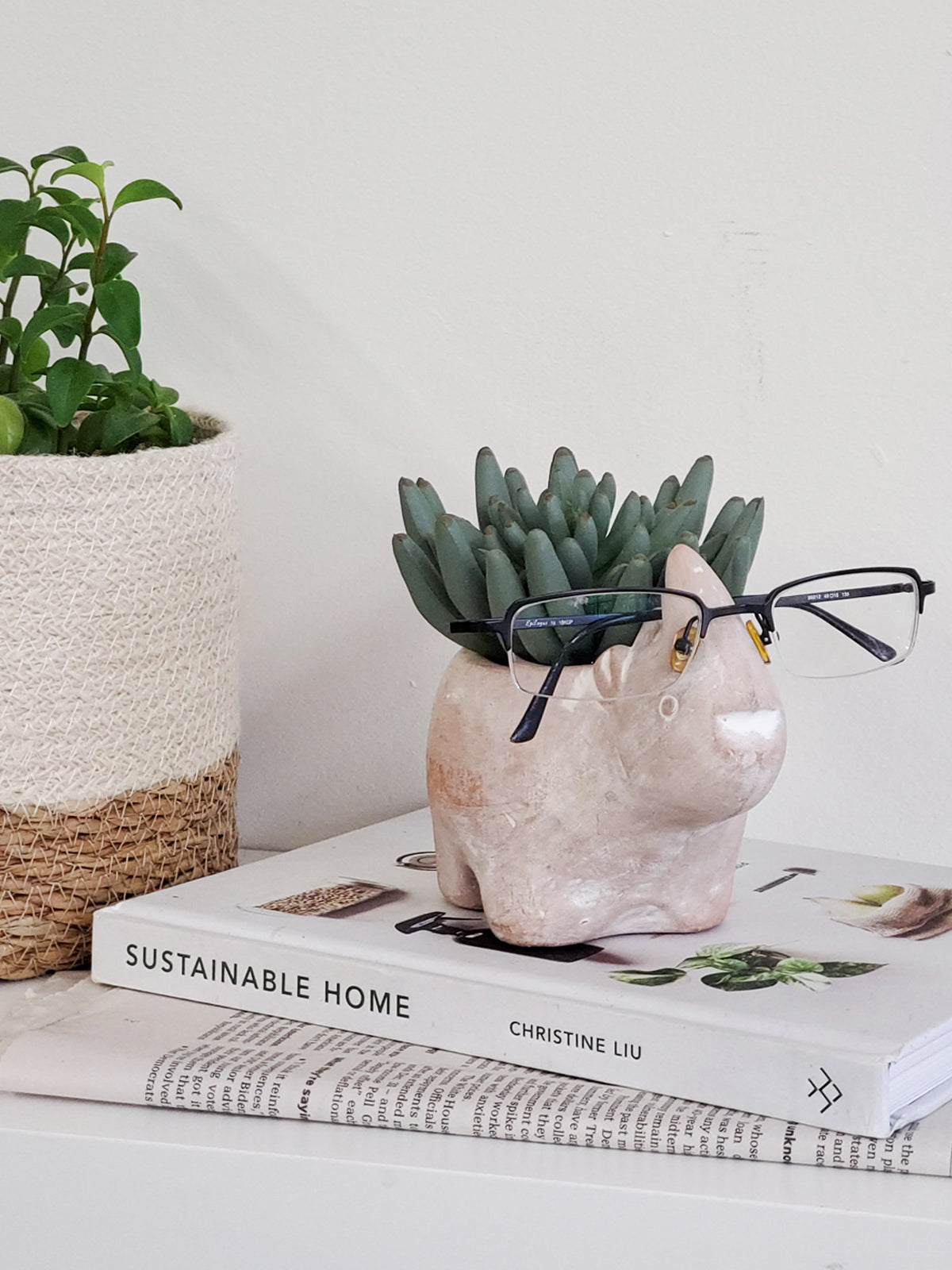 A whimsical terracotta pot shaped like a rhino, showcasing its natural clay finish and playful design, perfect for plants or as a decorative piece.