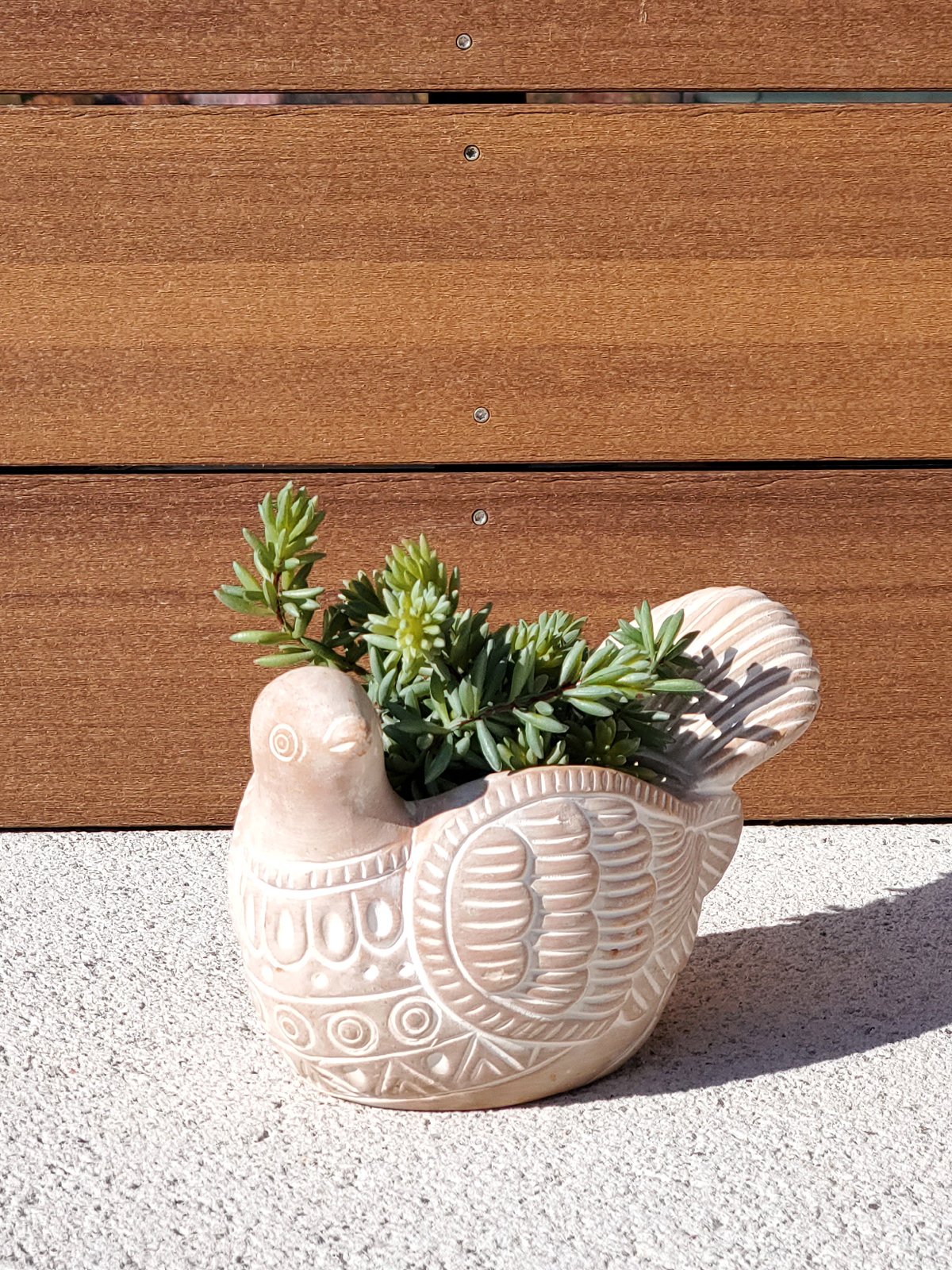 A whimsical terracotta pot shaped like a turtle dove, perfect for colorful flowers and plants, showcasing its natural clay finish.