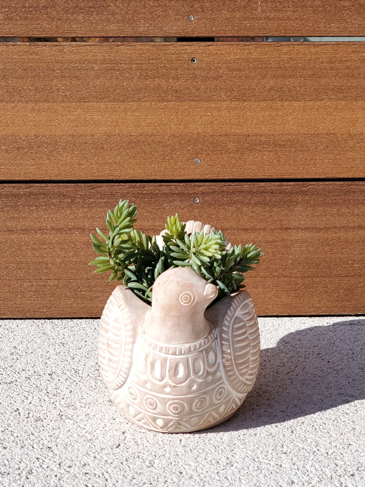 A whimsical terracotta pot shaped like a turtle dove, perfect for colorful flowers and plants, showcasing its natural clay finish.