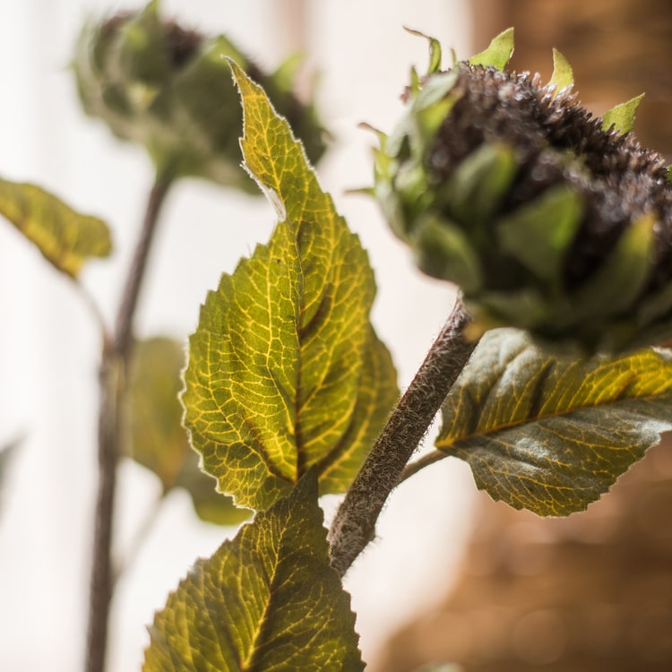 A beautiful handmade artificial sunflower stem with vibrant yellow petals, green leaves, and a brown stem, perfect for home decor.