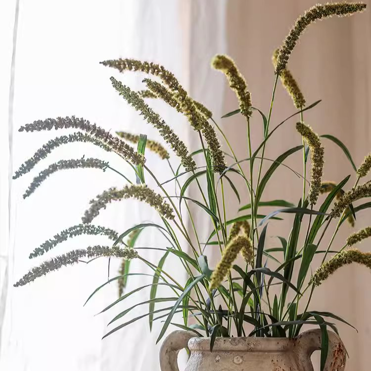 39-inch tall Three-Headed Dogtail Grass Stem in burgundy, green, and yellow colors, showcasing its realistic design and lush appearance.