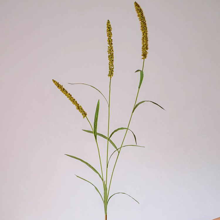 39-inch tall Three-Headed Dogtail Grass Stem in burgundy, green, and yellow colors, showcasing its realistic design and lush appearance.