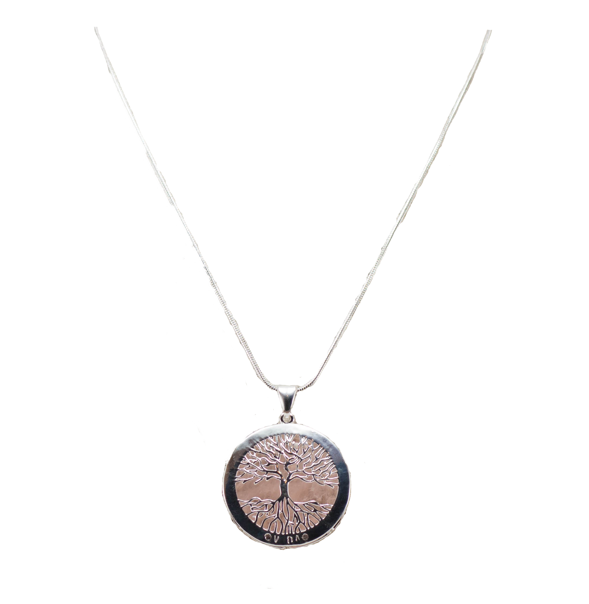 A beautiful Tree of Life Necklace featuring an intricate pendant on a silver chain, symbolizing growth and connection.