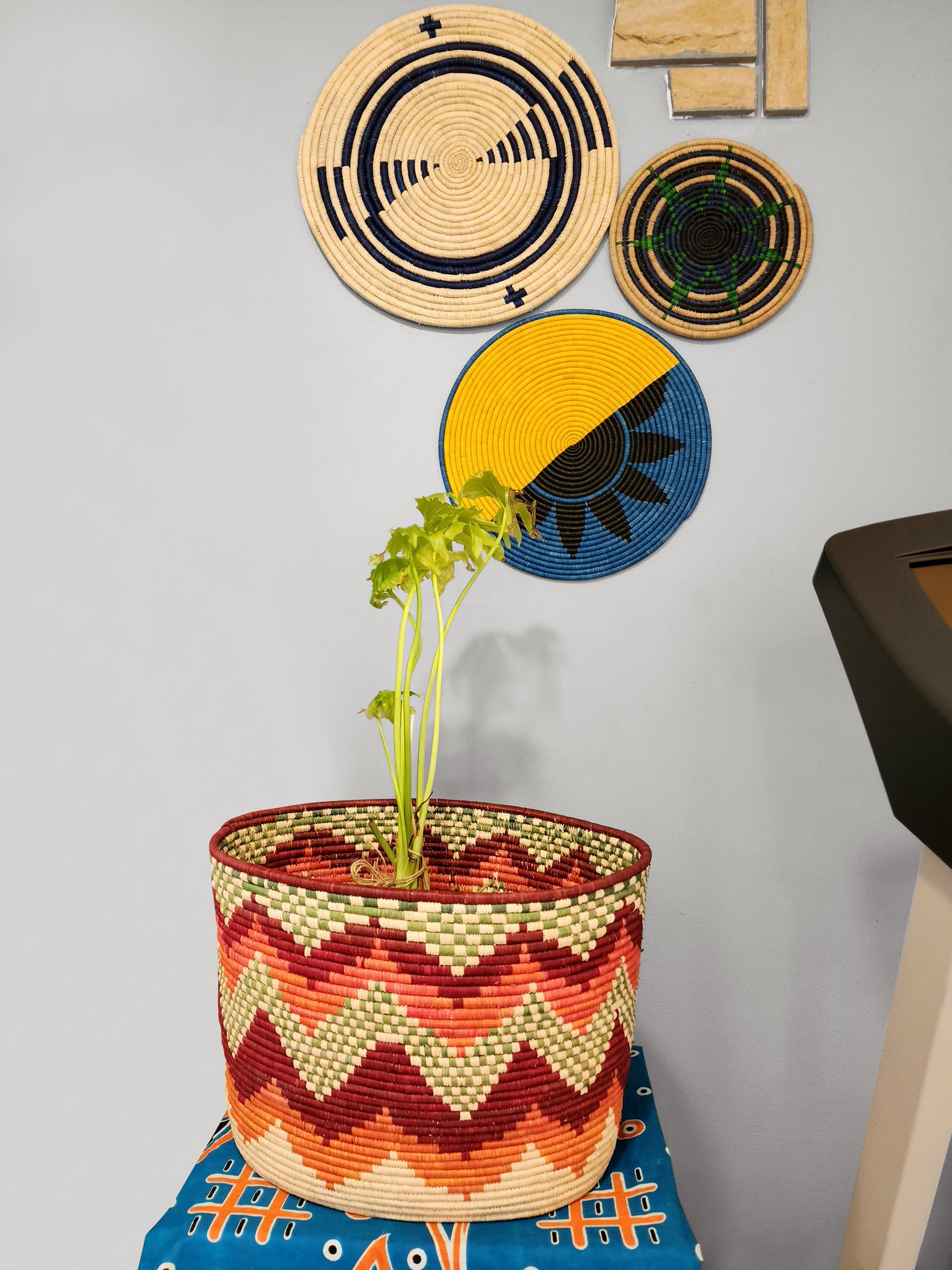 Plant in woven basket, wall decor.