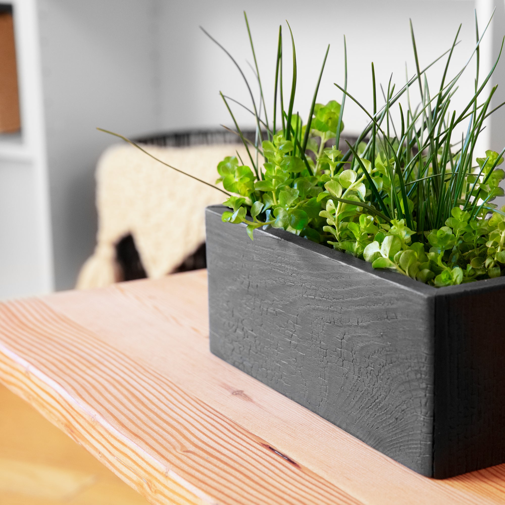 VegeTABLE side table featuring a glass vase and elegant wood design, perfect for plant lovers.