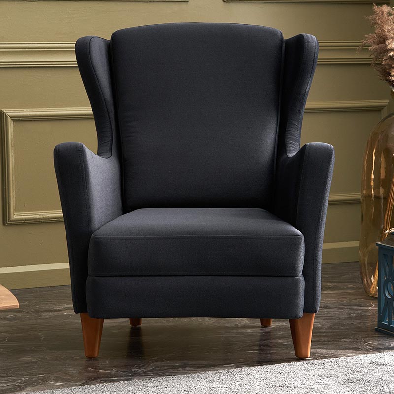 LORD Anthracite Velvet Armchair showcasing plush upholstery and elegant design, perfect for home or office use.