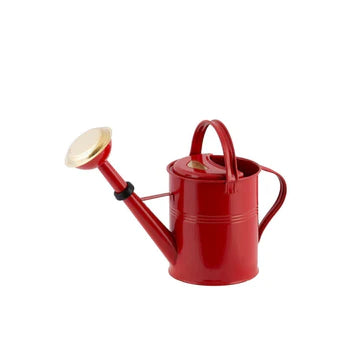 A sturdy 5-liter watering can made of hot-dip galvanized metal, featuring a rough finish and ergonomic design for easy handling.