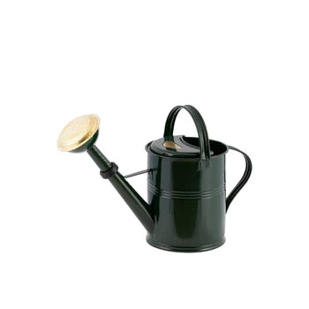 A sturdy 5-liter watering can made of hot-dip galvanized metal, featuring a rough finish and ergonomic design for easy handling.