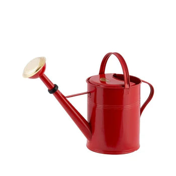 A sturdy 9-liter watering can made of hot-dip galvanized metal, featuring a rough finish and strong welds, ideal for indoor and outdoor use.