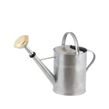 A sturdy 9-liter watering can made of hot-dip galvanized metal, featuring a rough finish and strong welds, ideal for indoor and outdoor use.