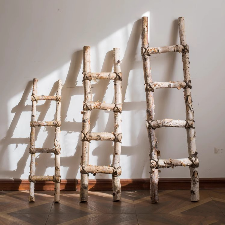 A stylish white birch wood decorative ladder leaning against a wall, showcasing its natural wood grain and elegant design.