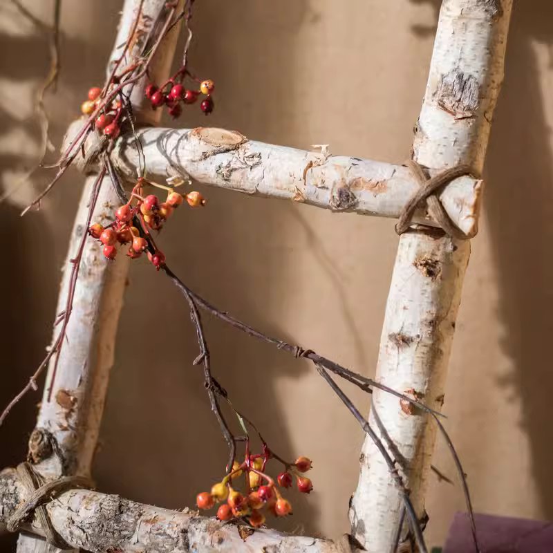 A stylish white birch wood decorative ladder leaning against a wall, showcasing its natural wood grain and elegant design.