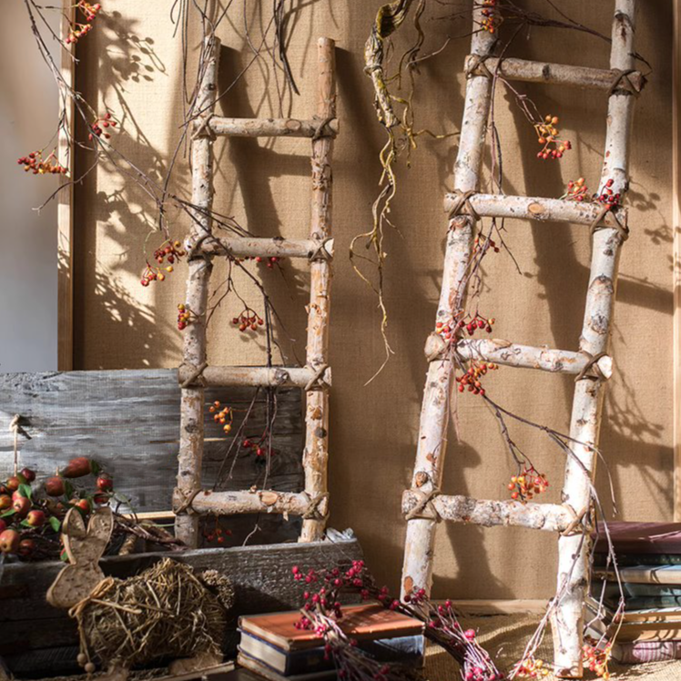 A stylish white birch wood decorative ladder leaning against a wall, showcasing its natural wood grain and elegant design.