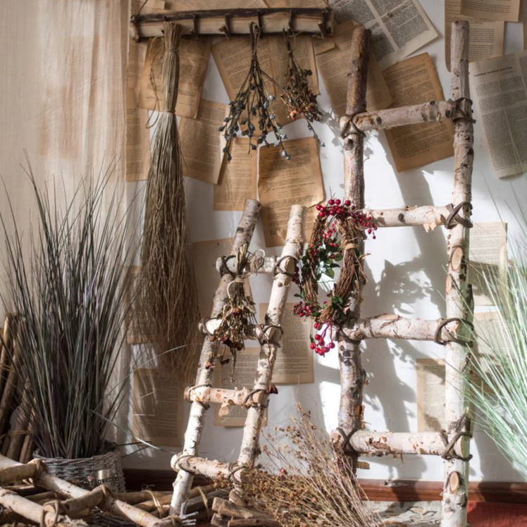 A stylish white birch wood decorative ladder leaning against a wall, showcasing its natural wood grain and elegant design.