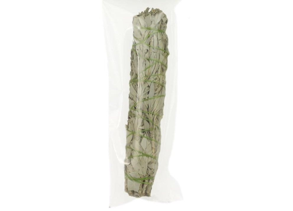 Large White Sage Smudge Stick bundle, hand-harvested and sun-dried, showcasing its rich, aromatic leaves tied with cotton thread.