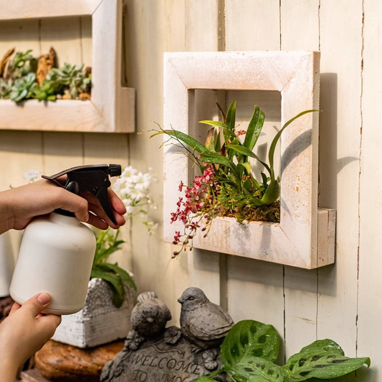 Wood Hanging Floral Frame in white, showcasing plants elegantly on a wall.