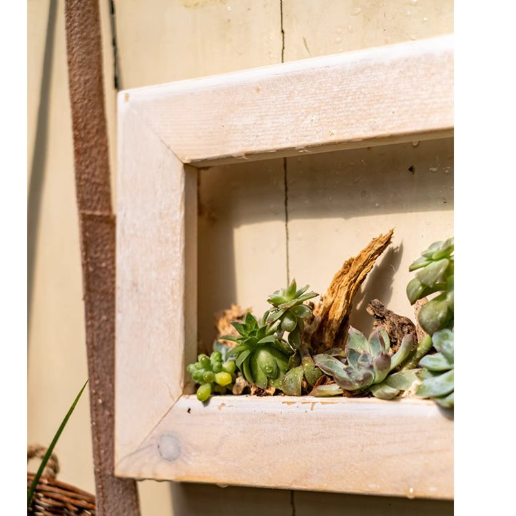 Wood Hanging Floral Frame in white, showcasing plants elegantly on a wall.