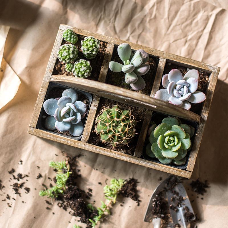 A stylish wooden box basket with a carry handle, showcasing its natural wood finish and versatile design for home organization.