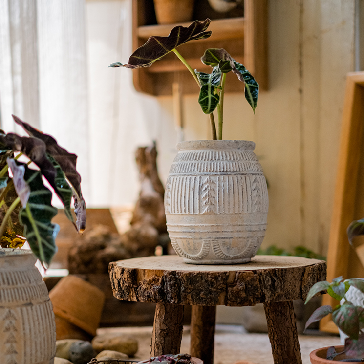 Yukun Terracotta Planter in tan and taupe, showcasing its handmade design and stoneware material.