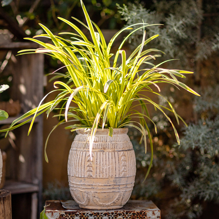 Yukun Terracotta Planter in tan and taupe, showcasing its handmade design and stoneware material.