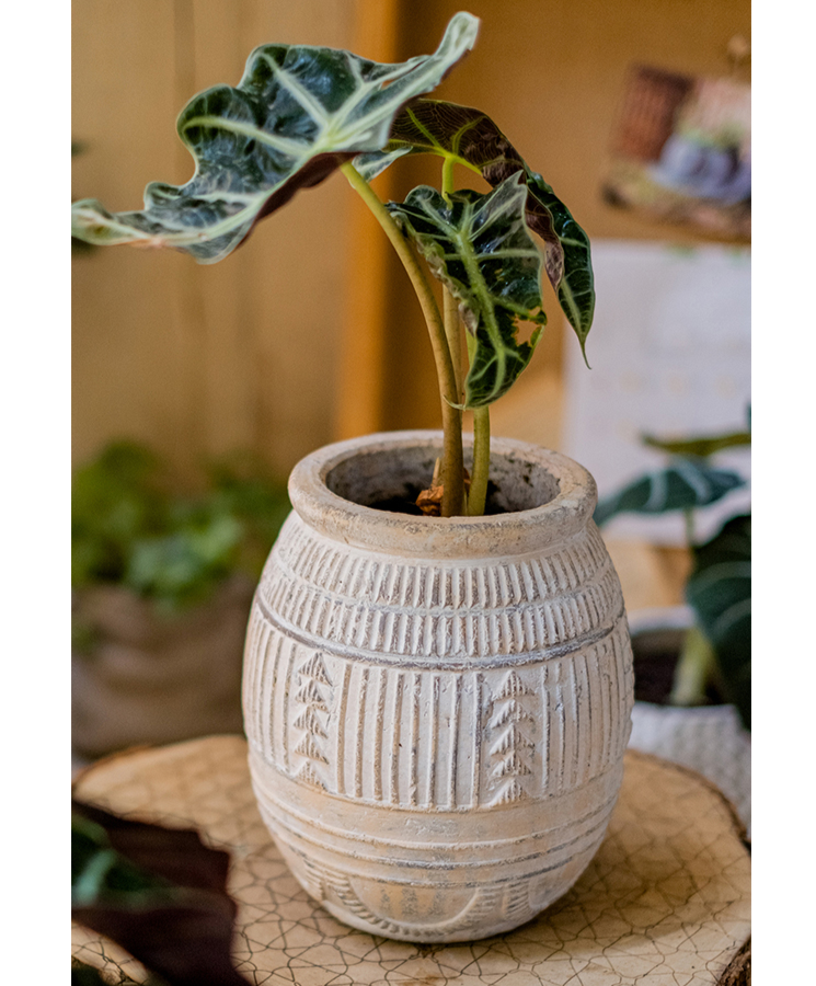 Yukun Terracotta Planter in tan and taupe, showcasing its handmade design and stoneware material.