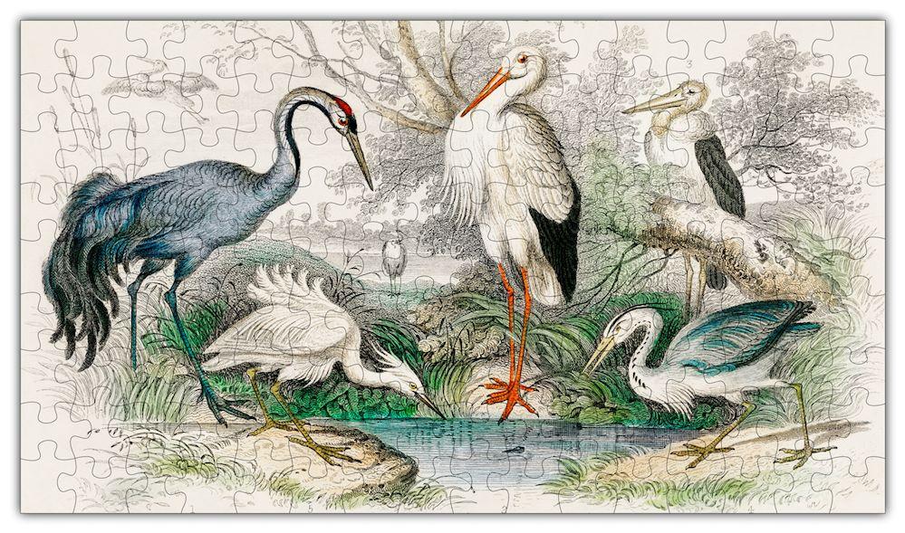 Birds Puzzle #6702 featuring various bird species, 144 precision-cut wooden pieces, and a beautiful design for framing.