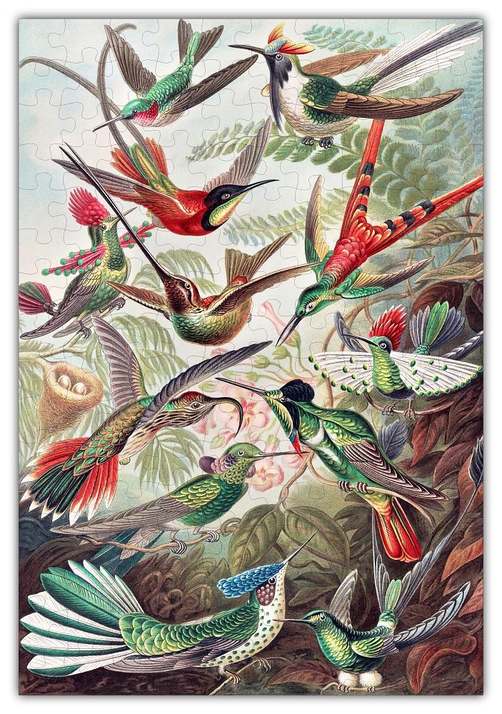 Haeckels Hummingbirds Jigsaw Puzzle #6730 featuring vibrant hummingbird artwork, 144 pieces, and eco-friendly materials.