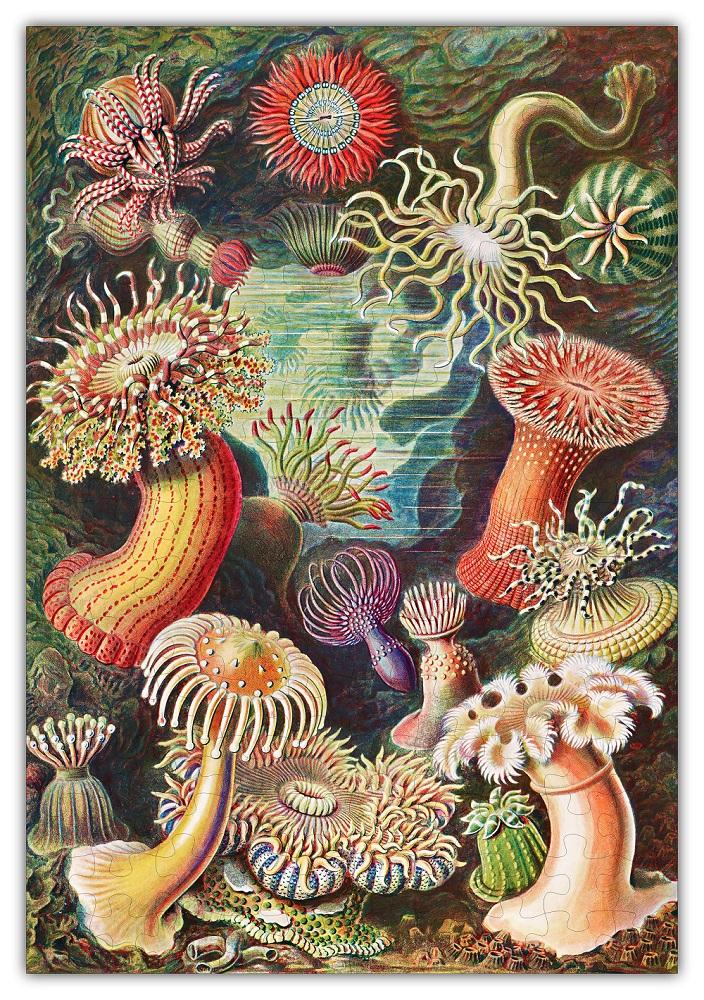 Haeckels Ocean Plants Jigsaw Puzzle #6729 featuring vibrant marine life artwork with 144 precision-cut pieces in a burlap bag.