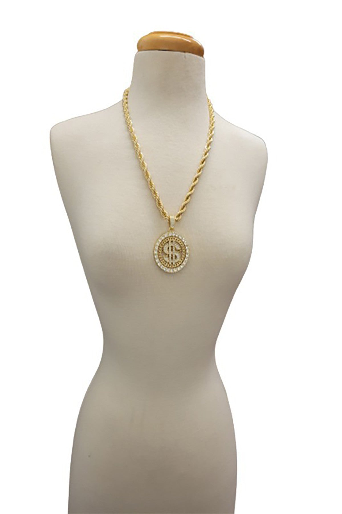 A stunning iced out dollar sign pendant on a 24-inch rope chain, showcasing intricate details and a bold design.