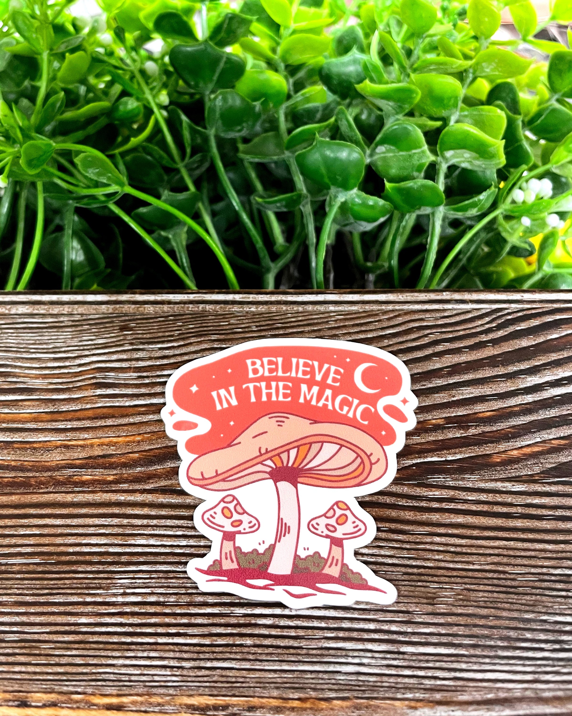 Colorful Believe in the Magic Mushroom Sticker on a smooth surface, showcasing vibrant colors and whimsical design.