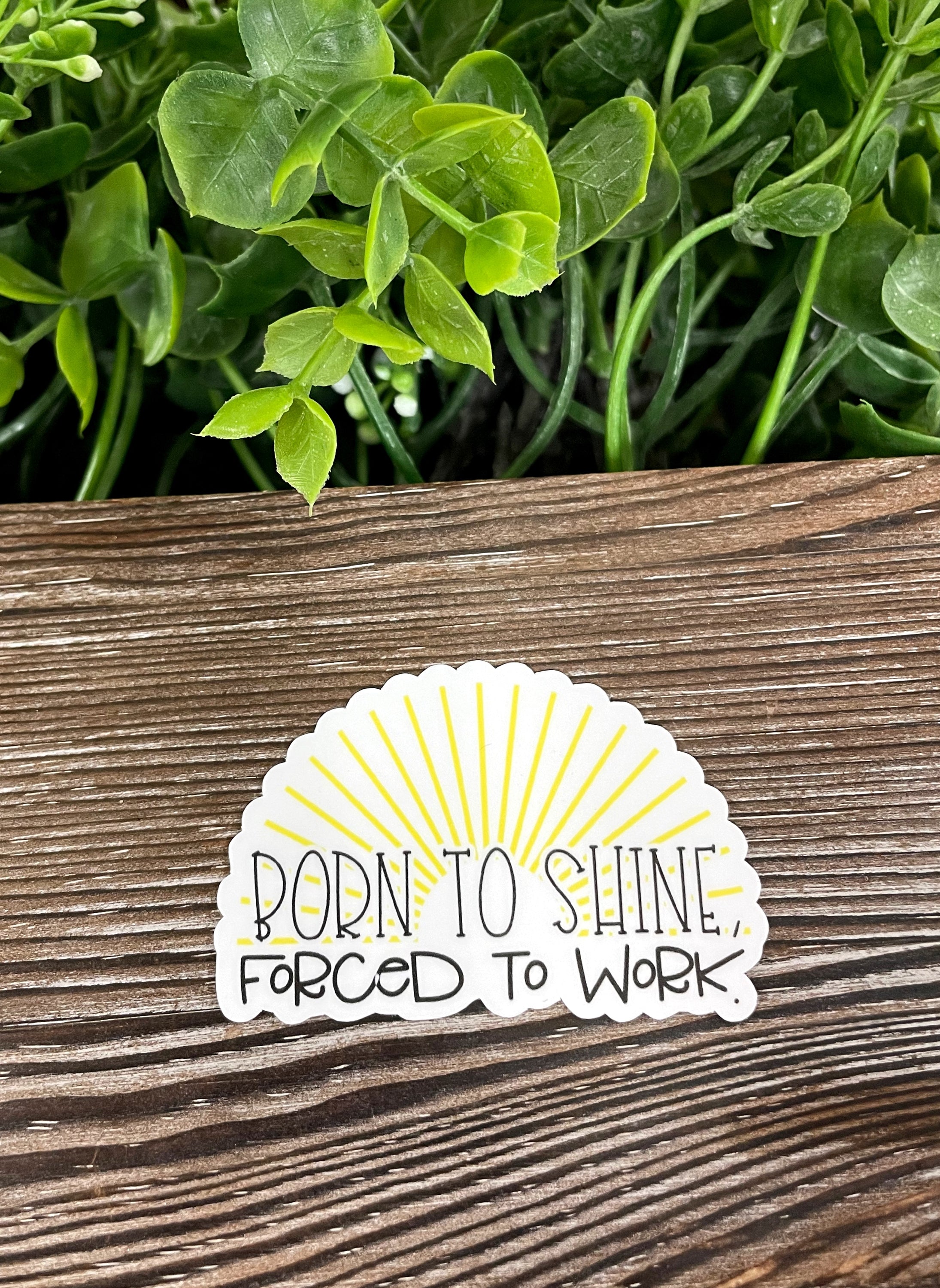 Born to Shine die cut vinyl sticker featuring a boho design, perfect for personalizing smooth surfaces like notebooks and water bottles.