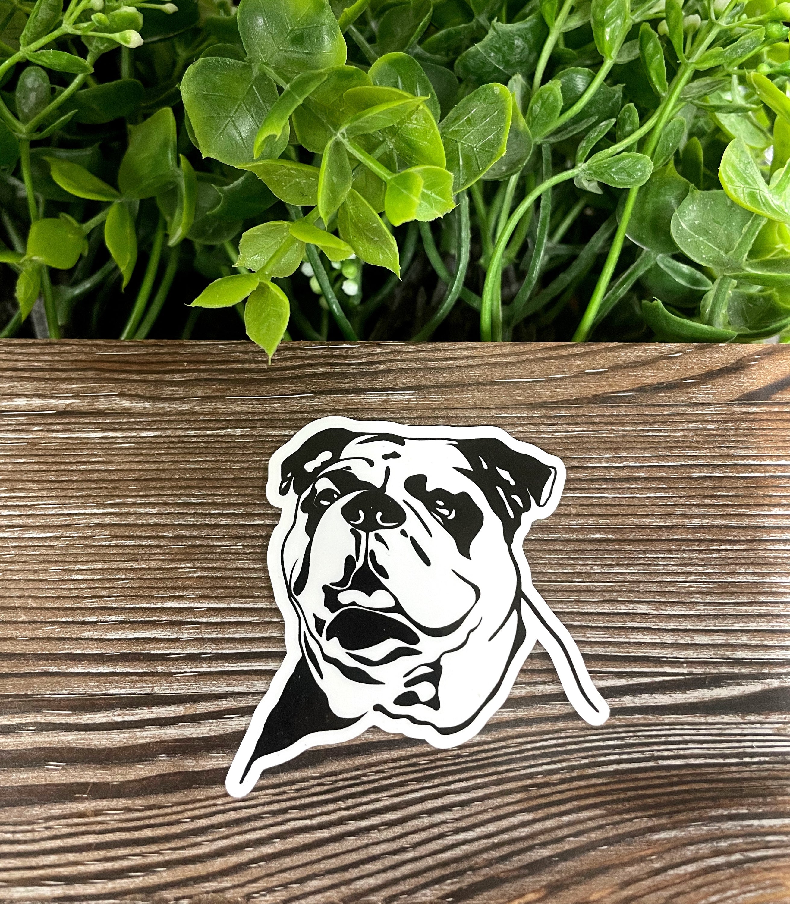 Black and white Bulldog sticker on a smooth surface, showcasing its die-cut design and water-resistant laminate finish.