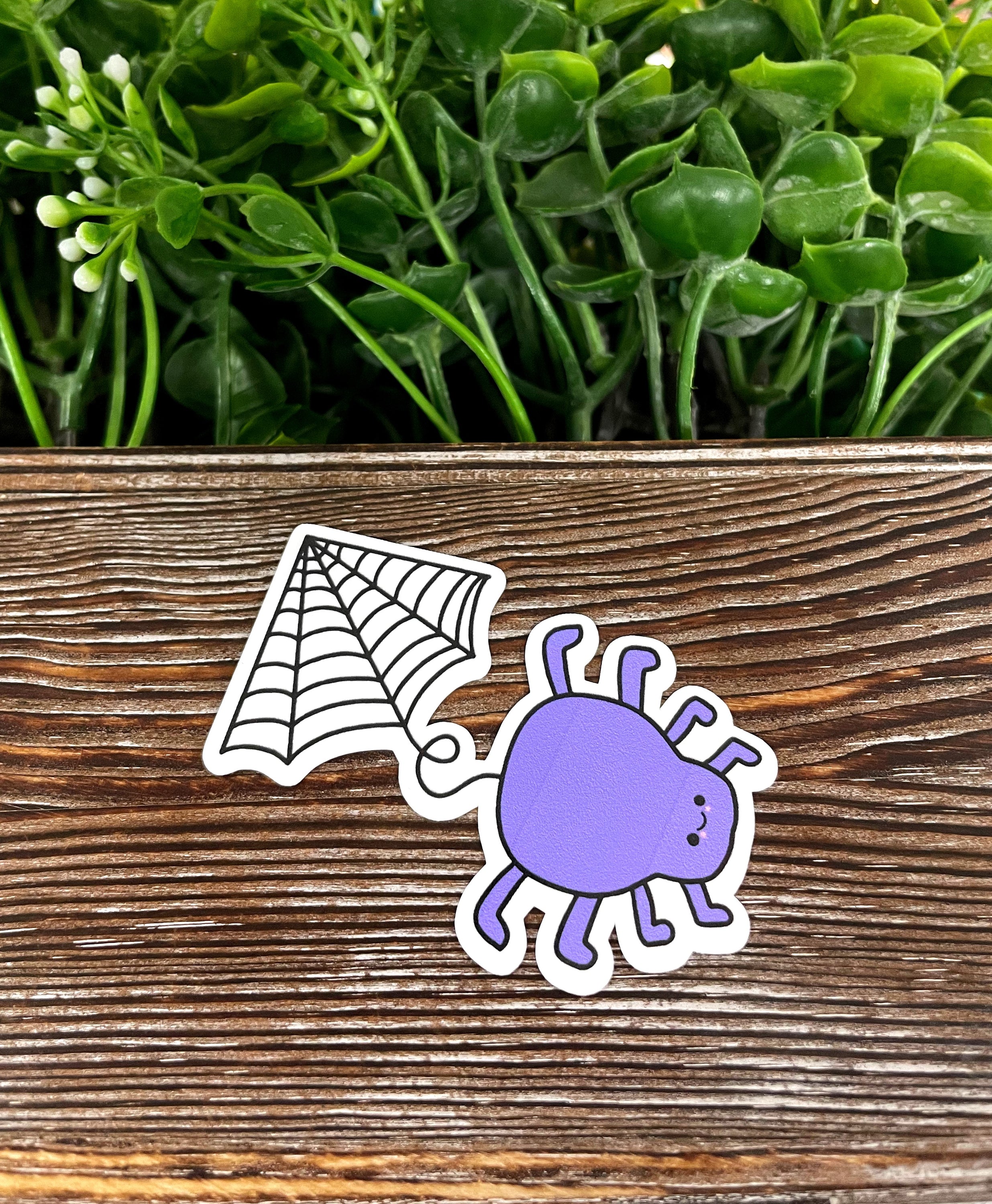 Cute Spider and Web die cut sticker on a smooth surface, showcasing vibrant colors and intricate design.