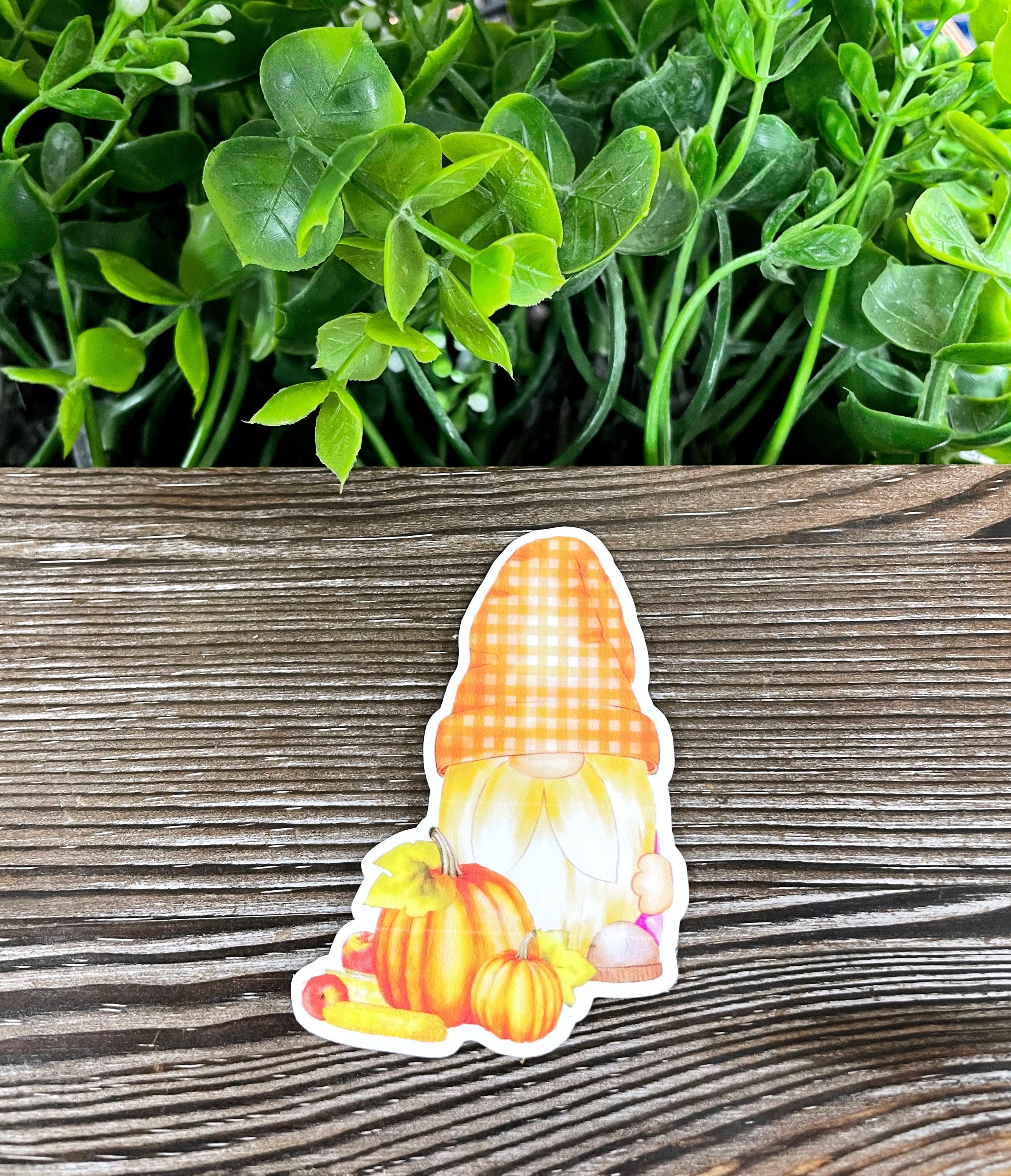 A colorful die cut vinyl sticker featuring a whimsical gnome surrounded by pumpkins, perfect for fall decoration.