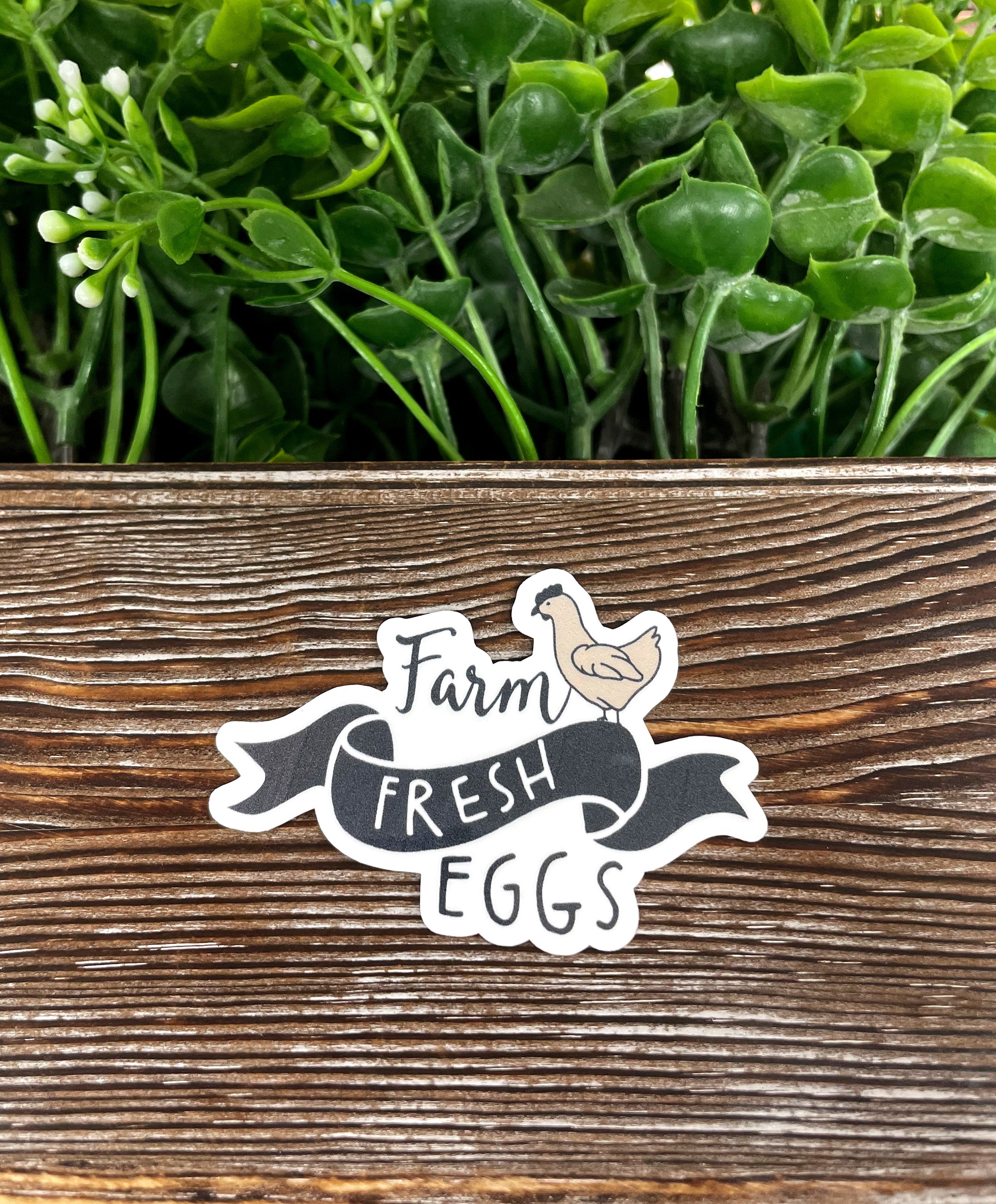 Colorful Farm Fresh Eggs Chicken die cut vinyl sticker on a smooth surface, showcasing its vibrant design and water-resistant laminate.