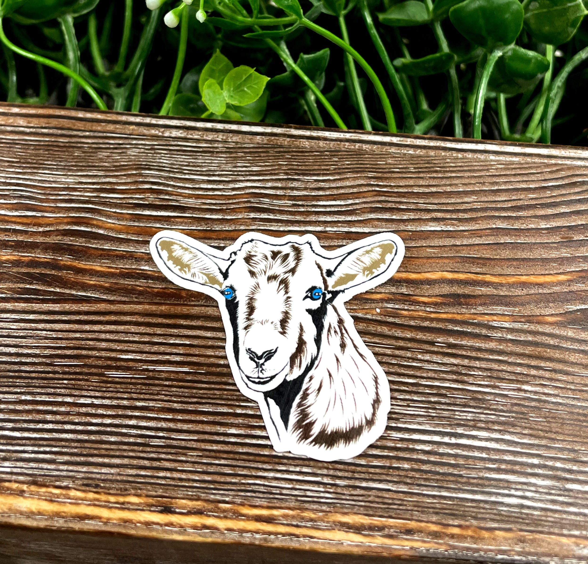 A vibrant Goat Face Sticker featuring a Nigerian Dwarf Mini goat design, perfect for personalizing various items.