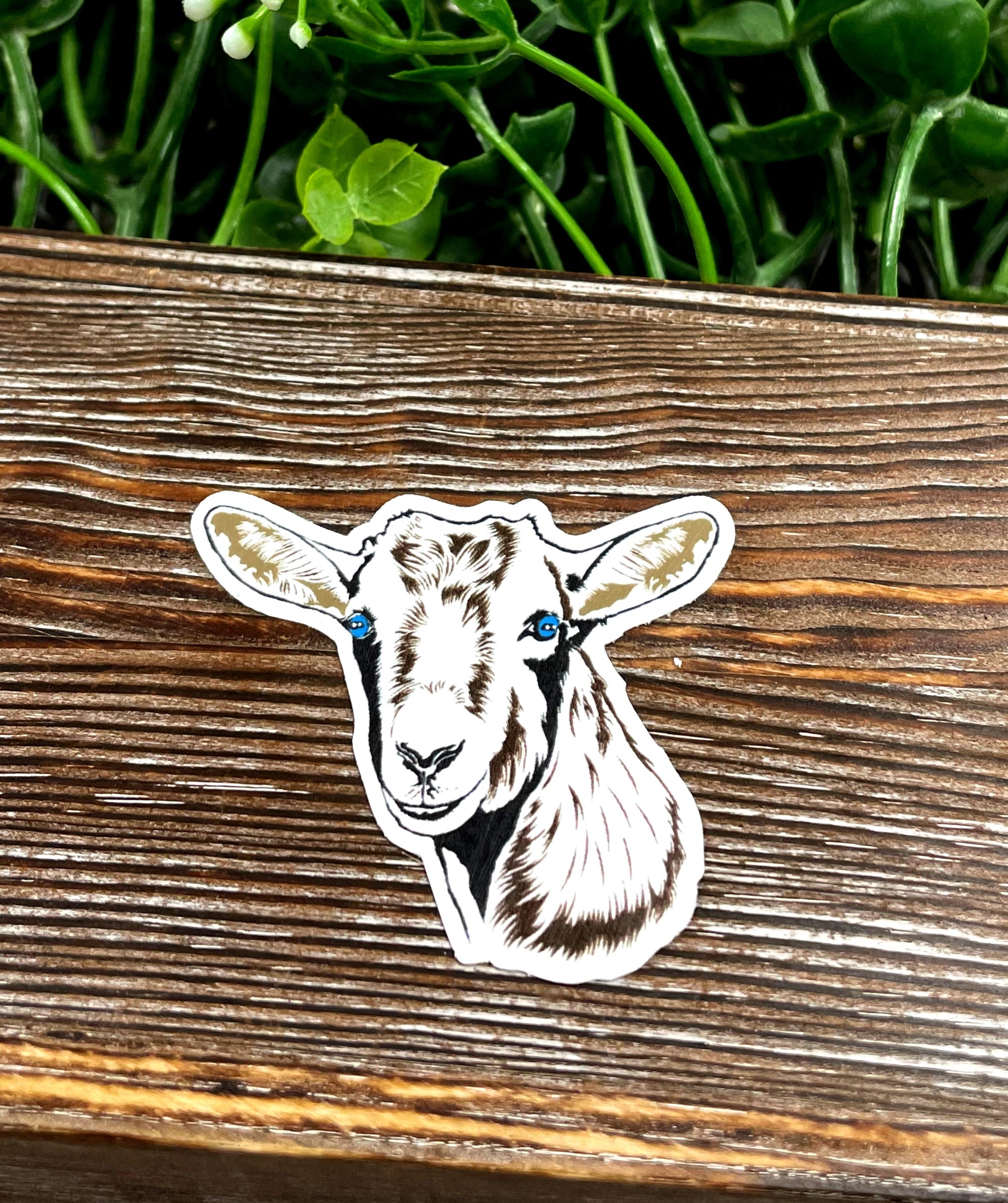 A vibrant Goat Face Sticker featuring a Nigerian Dwarf Mini goat design, perfect for personalizing various items.