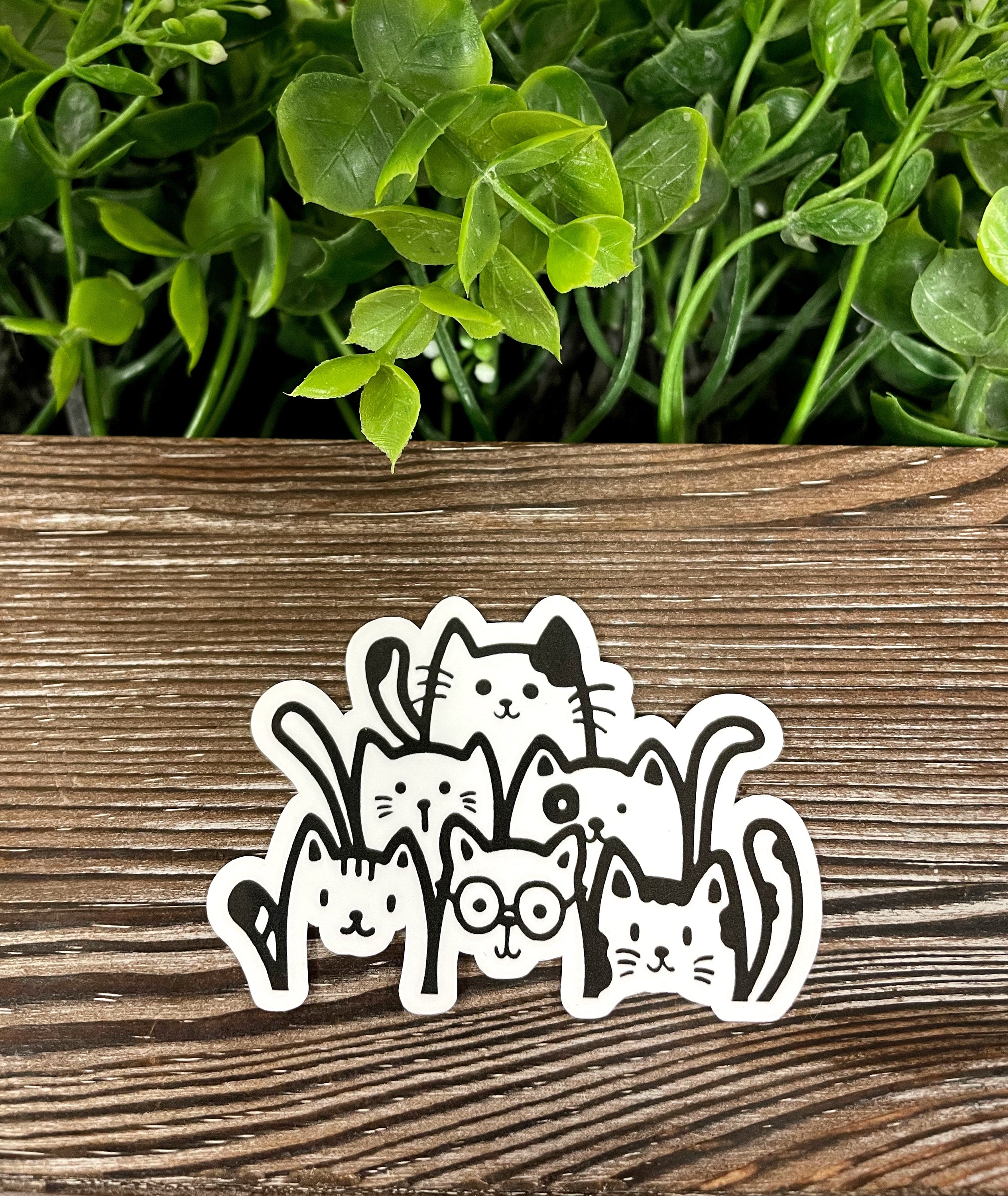 A collection of die cut vinyl stickers featuring silhouettes of cats in a boho style, showcasing their playful and artistic design.