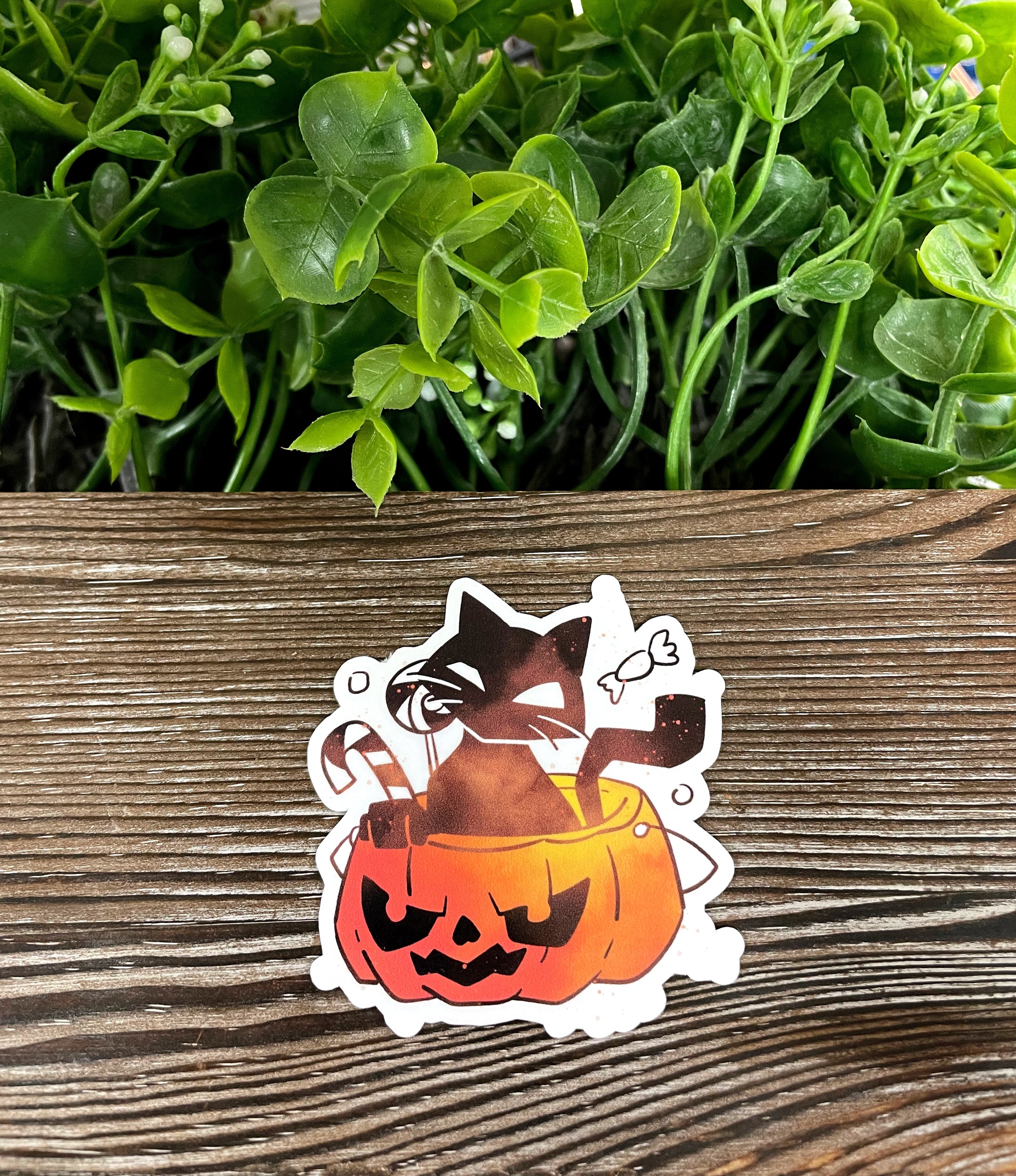 A vibrant die cut vinyl sticker featuring a black cat sitting in a pumpkin bucket filled with candy, perfect for Halloween decoration.