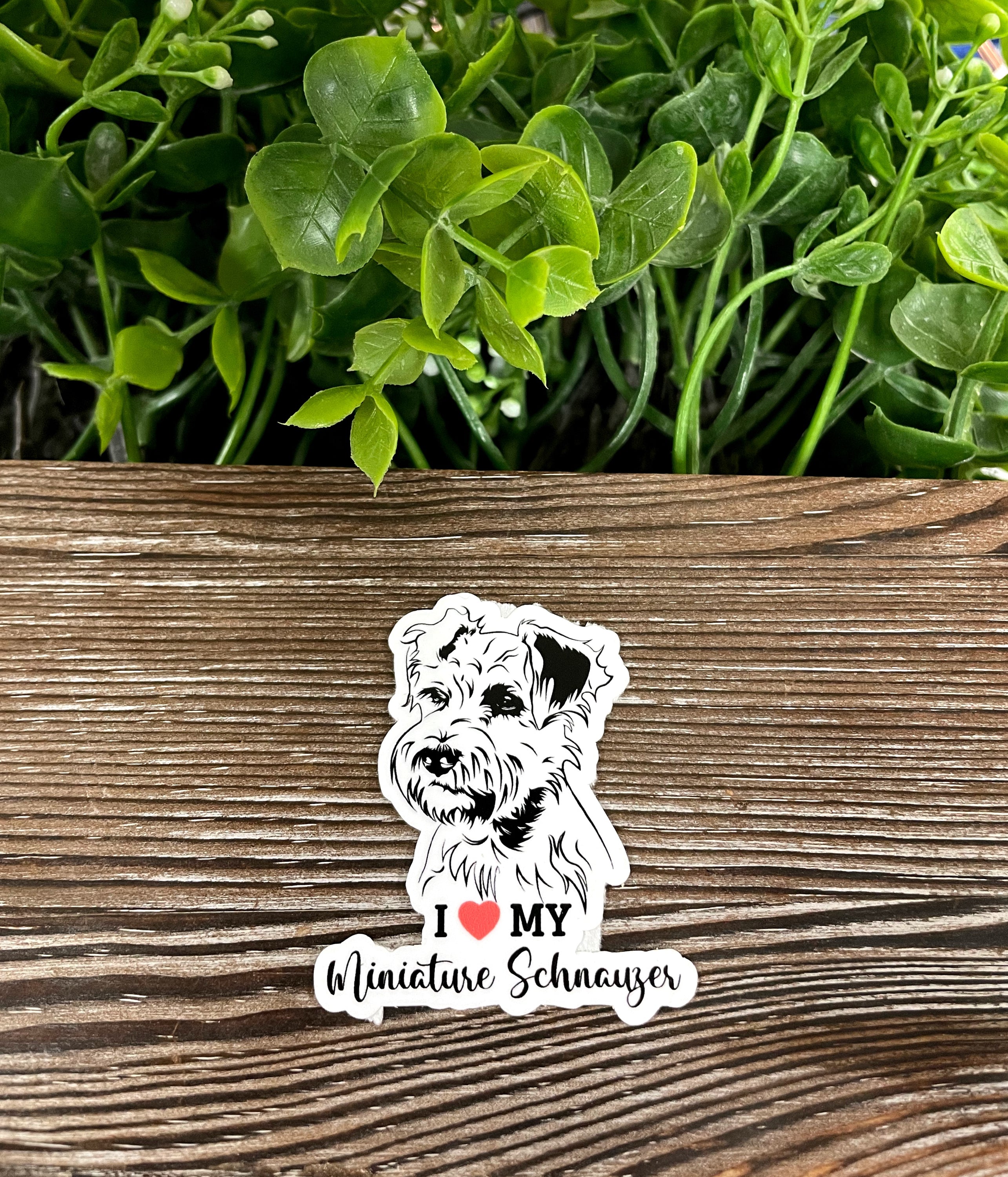 A vibrant 'I Love my Miniature Schnauzer' sticker featuring a cute Schnauzer illustration, perfect for decorating various smooth surfaces.