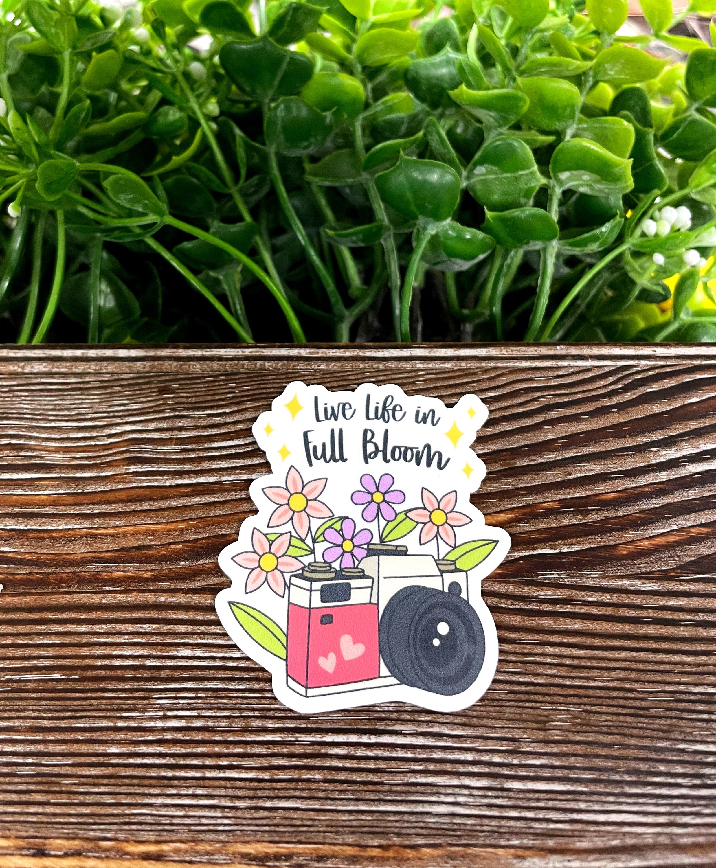 Colorful die cut vinyl sticker featuring the phrase 'Live Life in Full Bloom' with a boho design, perfect for personalizing various surfaces.