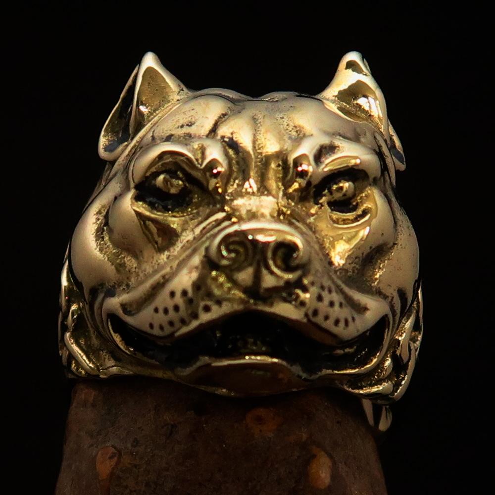 Men's Brass Animal Ring featuring a detailed Pitbull in Chains design, showcasing its high polish and antiqued finish.