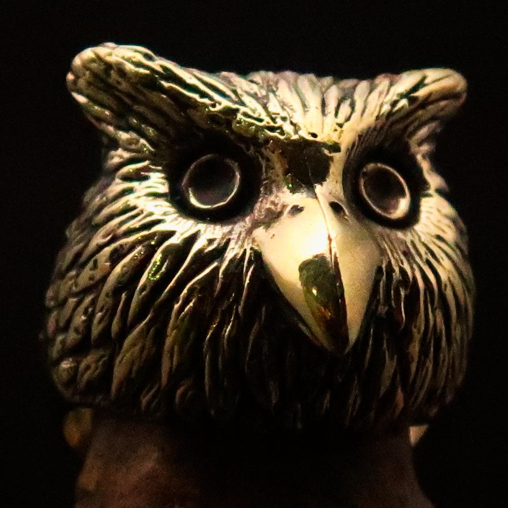 Men's brass ring featuring an intricately designed owl head, showcasing detailed craftsmanship and unique finishes.