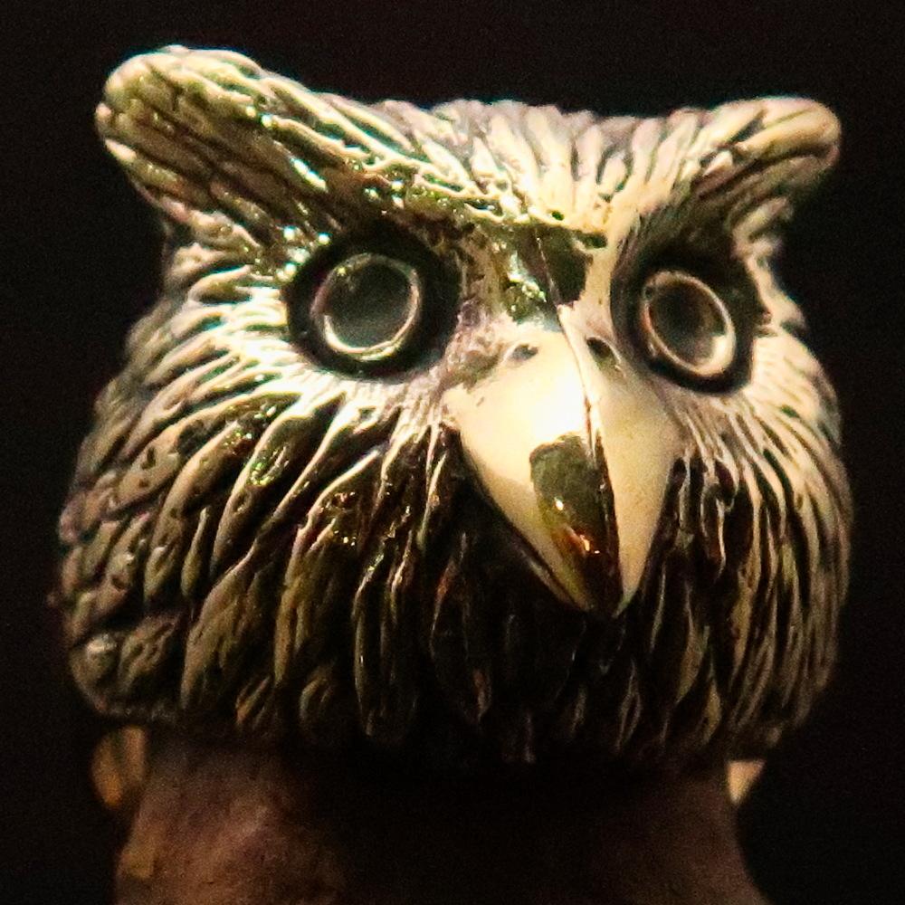 Men's brass ring featuring an intricately designed owl head, showcasing detailed craftsmanship and unique finishes.