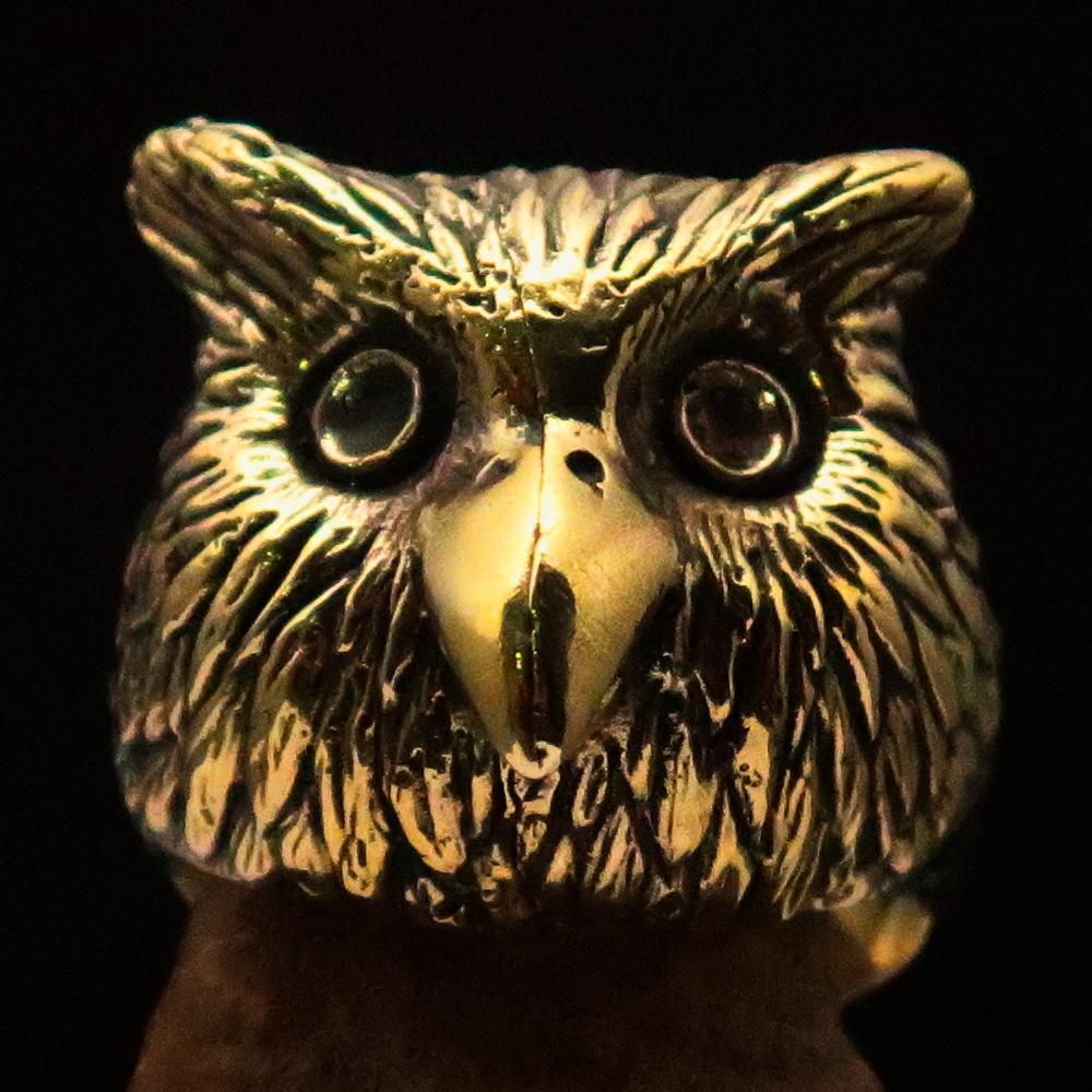 Men's brass ring featuring an intricately designed owl head, showcasing detailed craftsmanship and unique finishes.