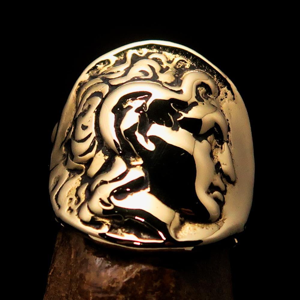 Men's Alexander the Great Tetradrachm Coin Ring made of solid brass with a mirror-polished finish, showcasing its intricate design.