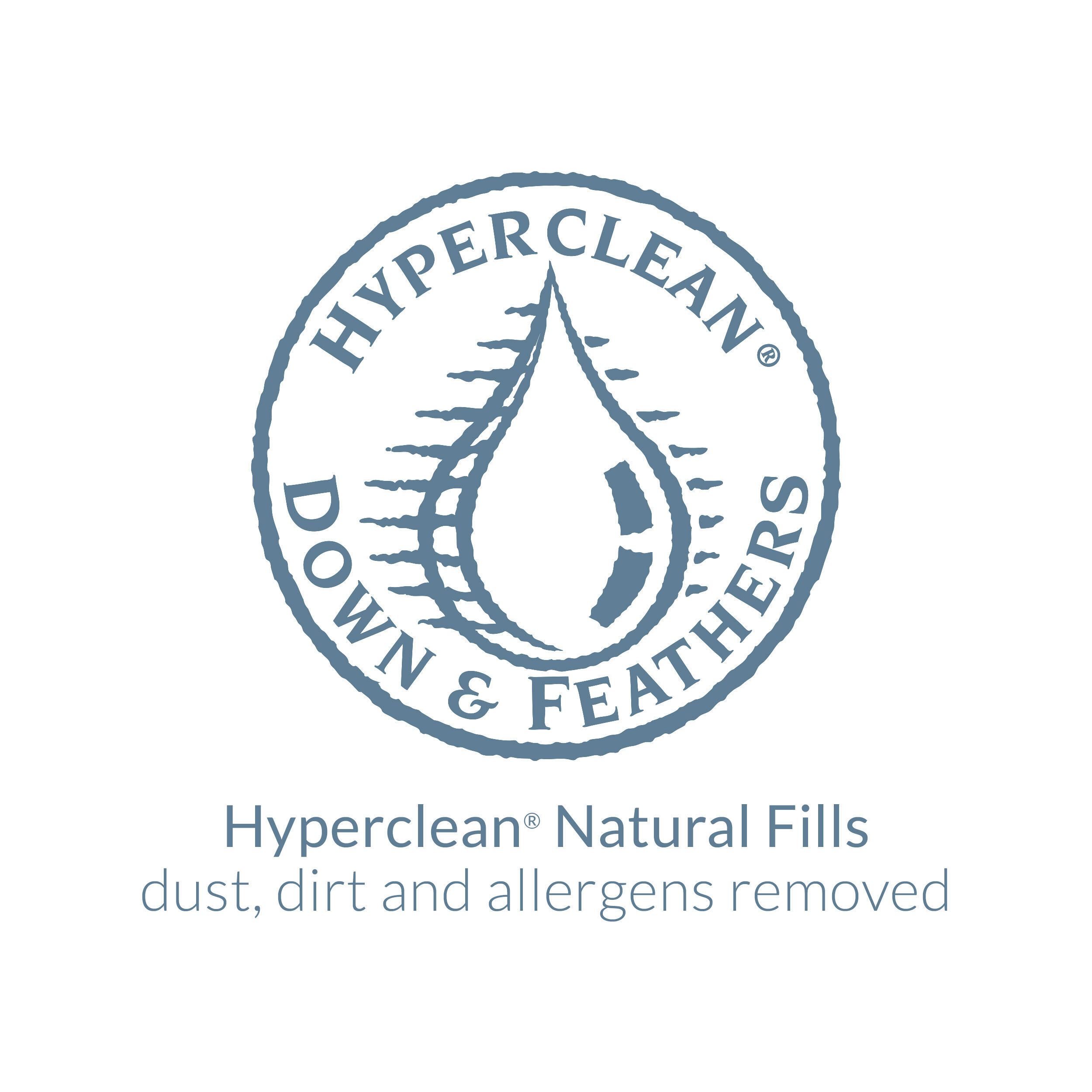 Hyperclean Down & Feathers logo