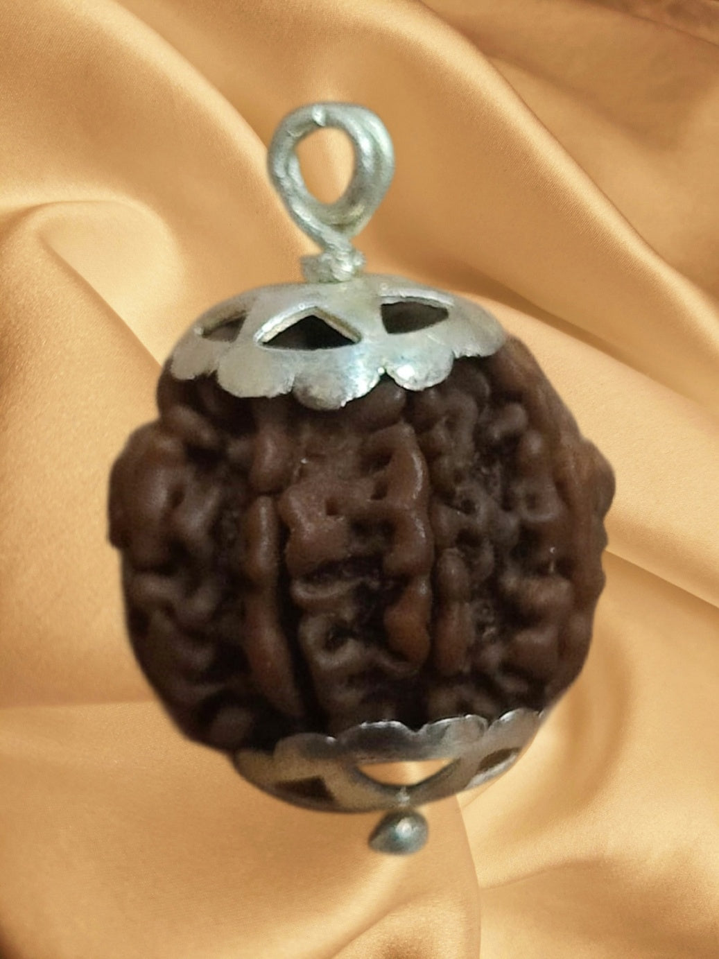 A 7 Face Rudraksha Pendant featuring a genuine 7 Mukhi bead with elegant silver capping, showcasing its brown oval shape.