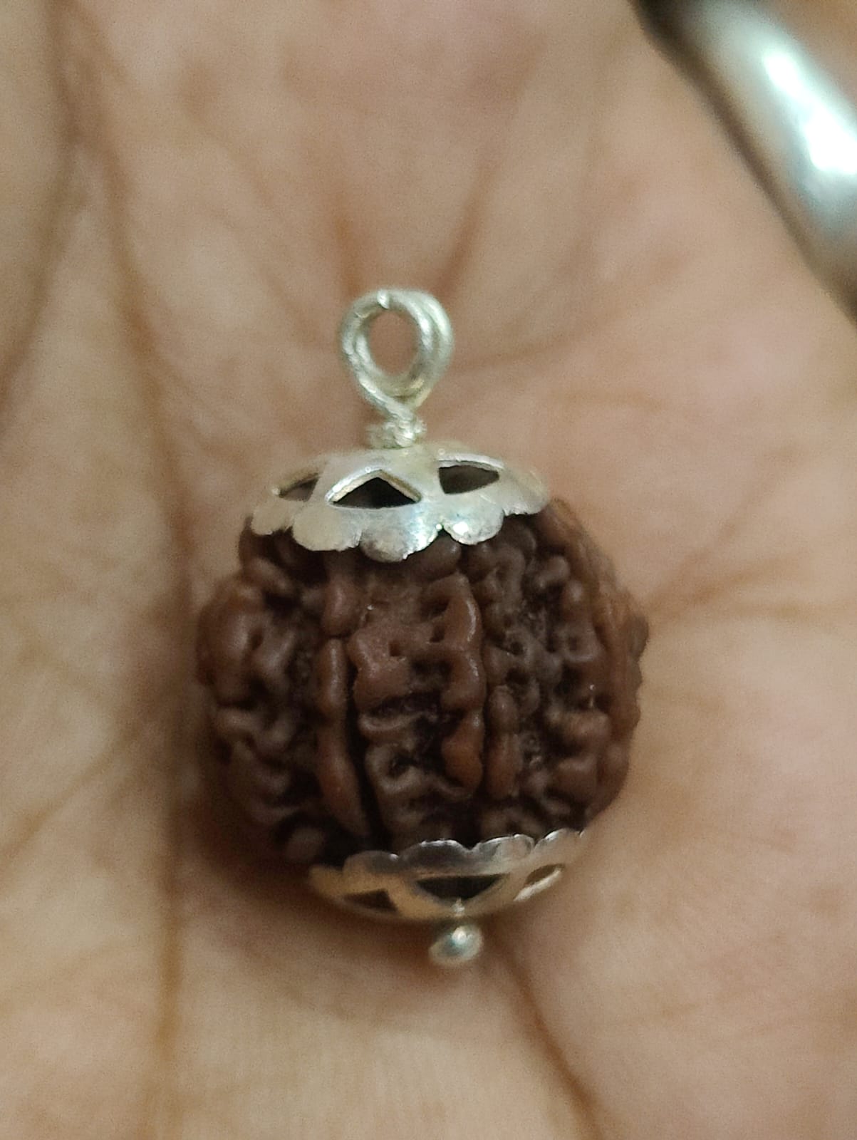 A 7 Face Rudraksha Pendant featuring a genuine 7 Mukhi bead with elegant silver capping, showcasing its brown oval shape.