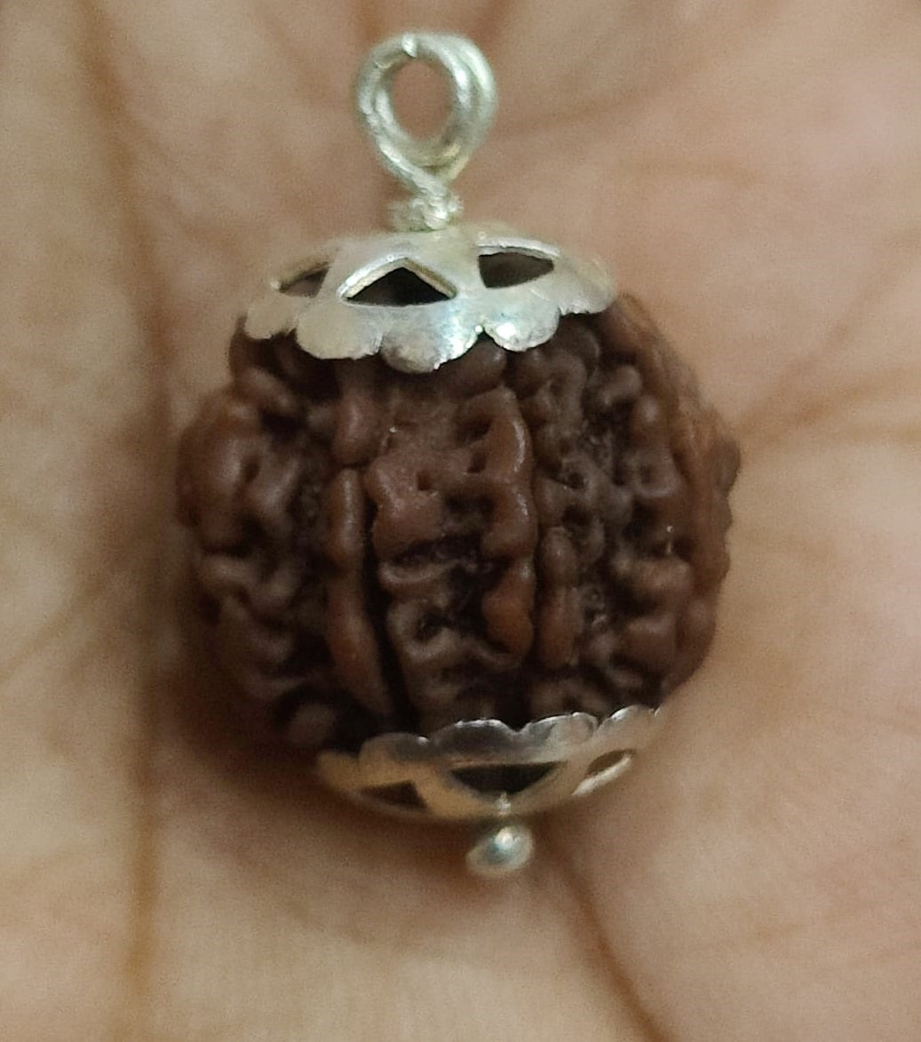 A 7 Face Rudraksha Pendant featuring a genuine 7 Mukhi bead with elegant silver capping, showcasing its brown oval shape.